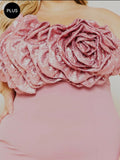 Plus Size Pink Dress